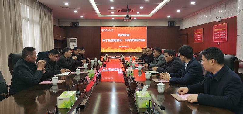 亚洲中文字幕在线乱妇