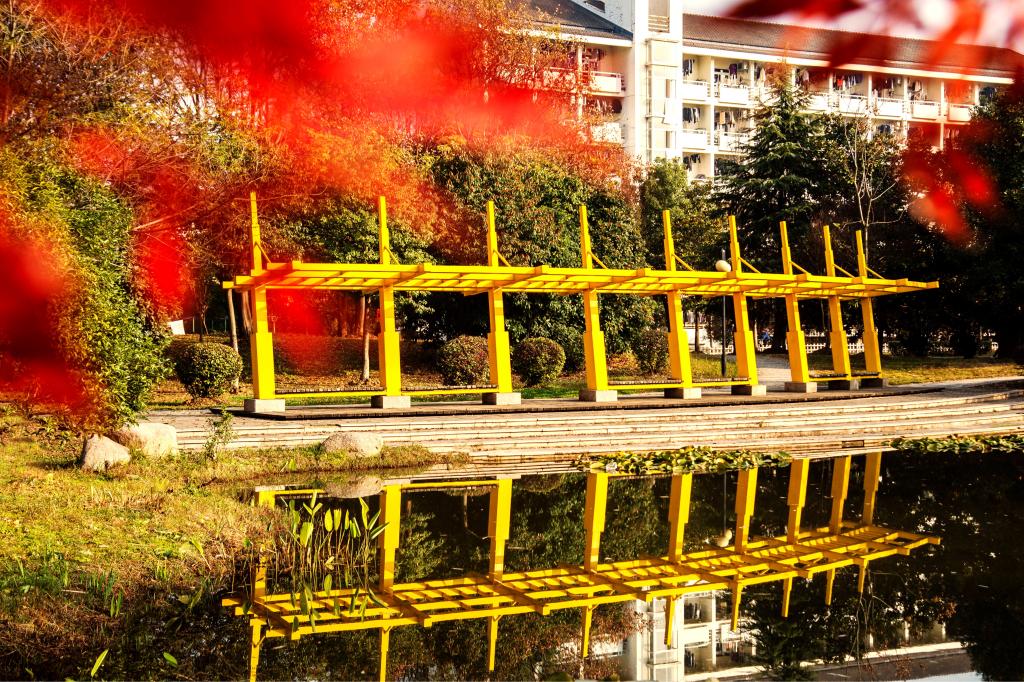 亚洲中文字幕在线乱妇