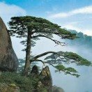 亚洲中文字幕在线乱妇