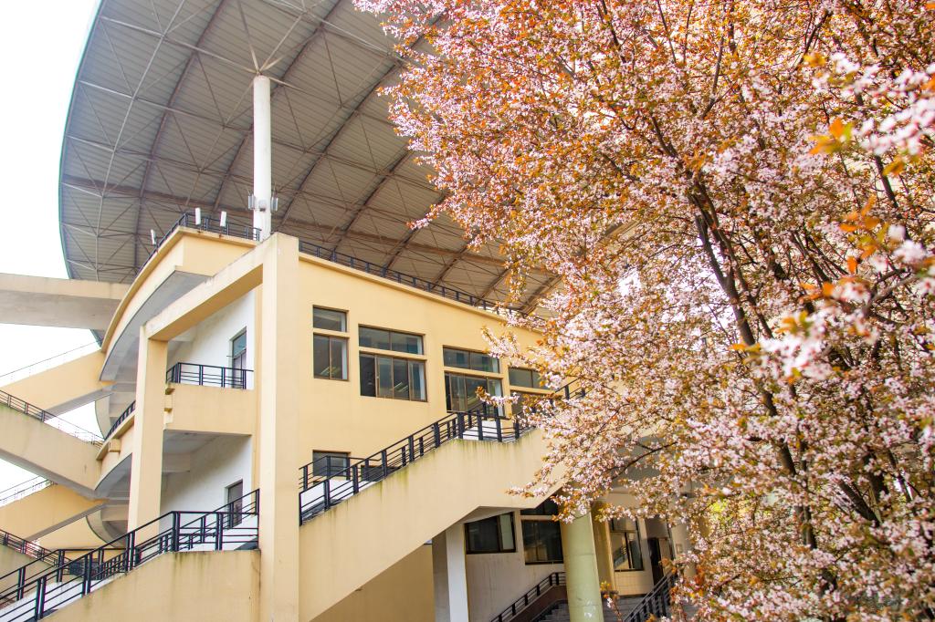 亚洲中文字幕在线乱妇