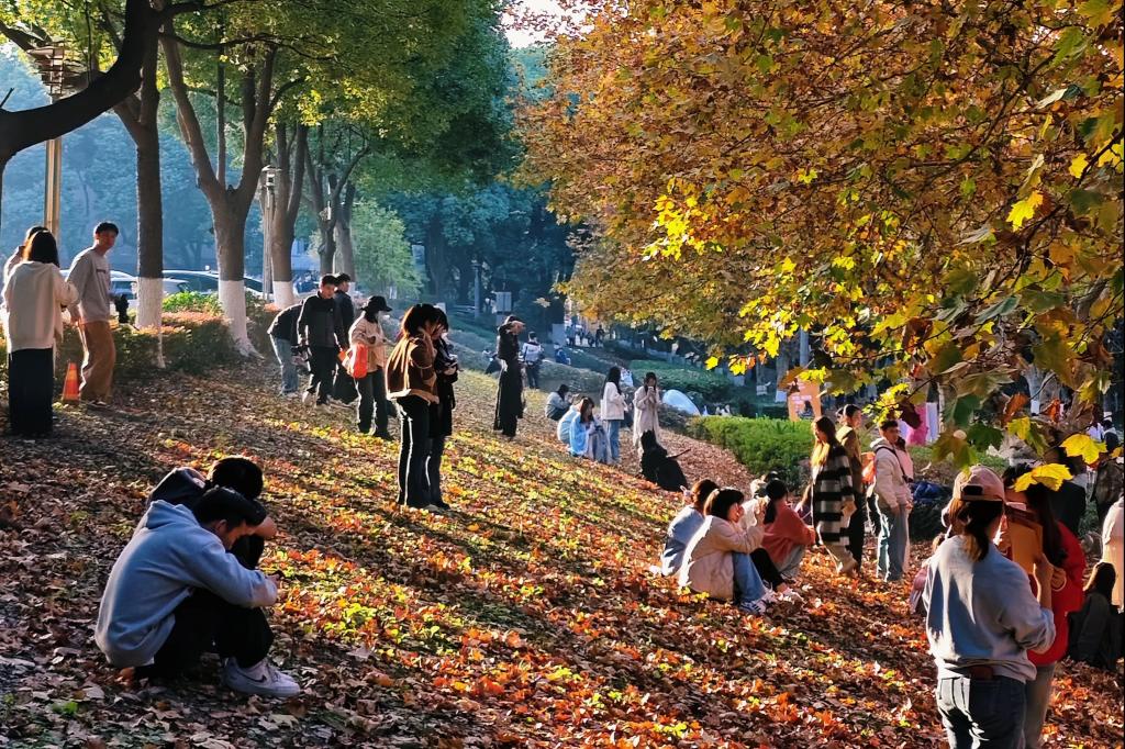 亚洲中文字幕在线乱妇