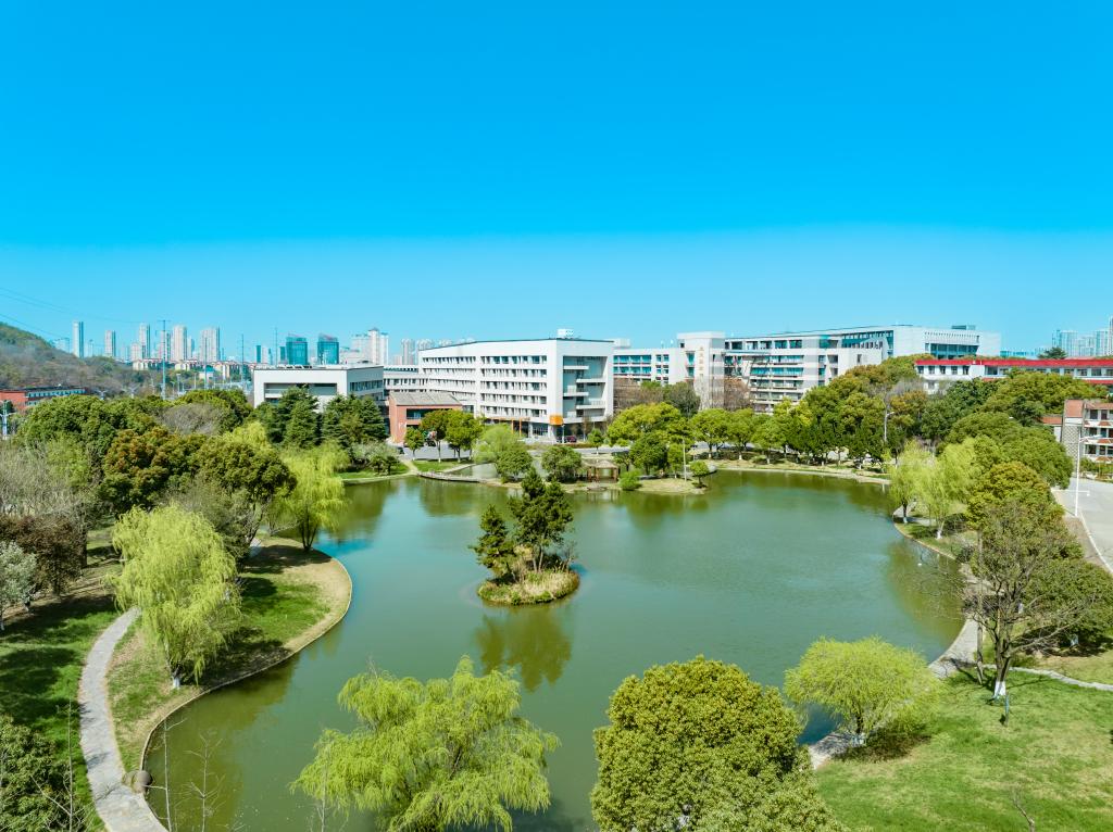 亚洲中文字幕在线乱妇