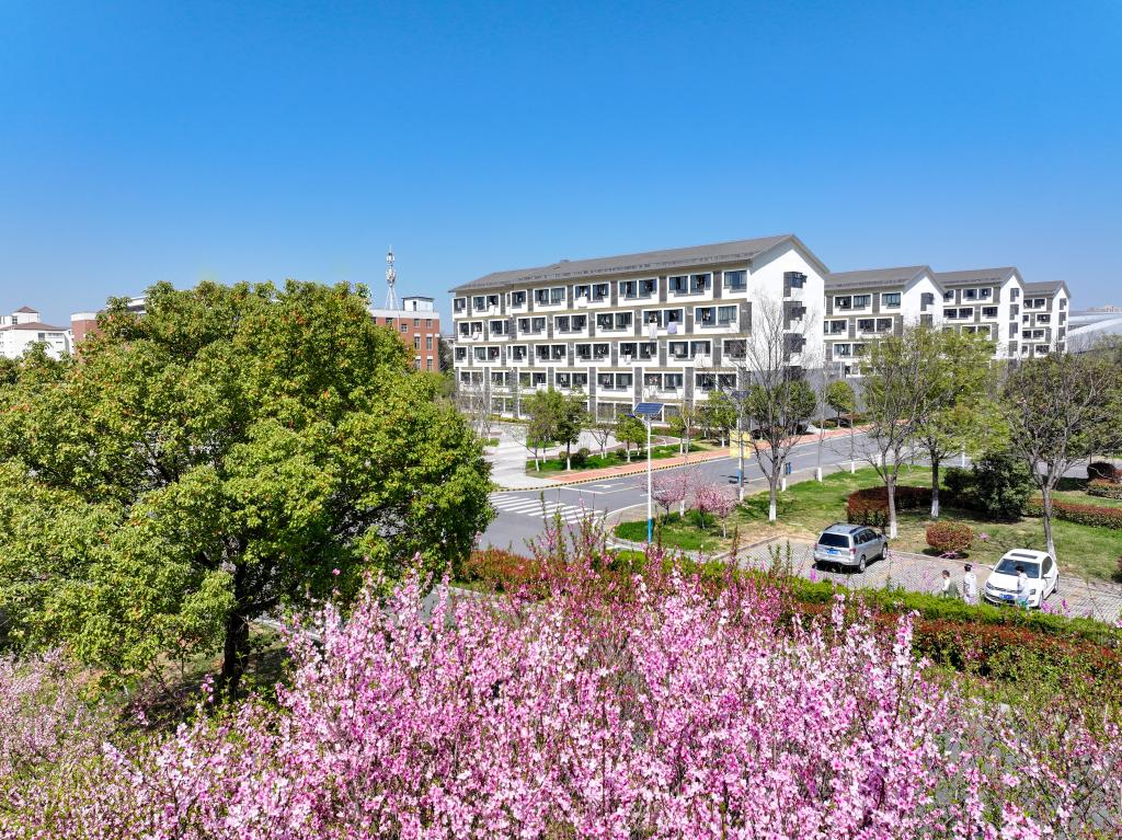 亚洲中文字幕在线乱妇