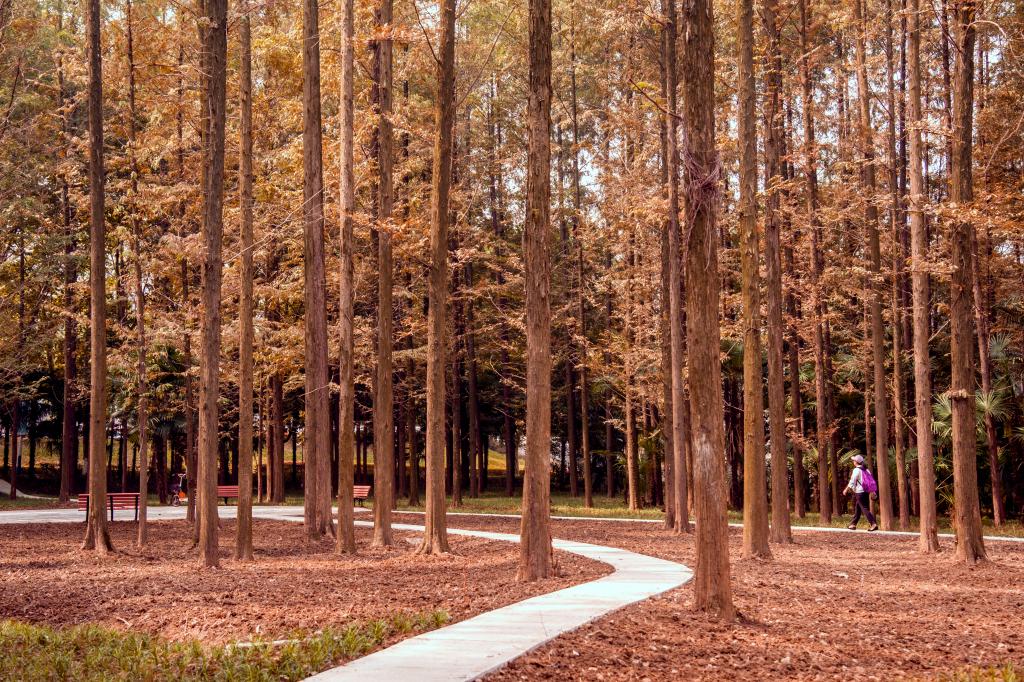 亚洲中文字幕在线乱妇