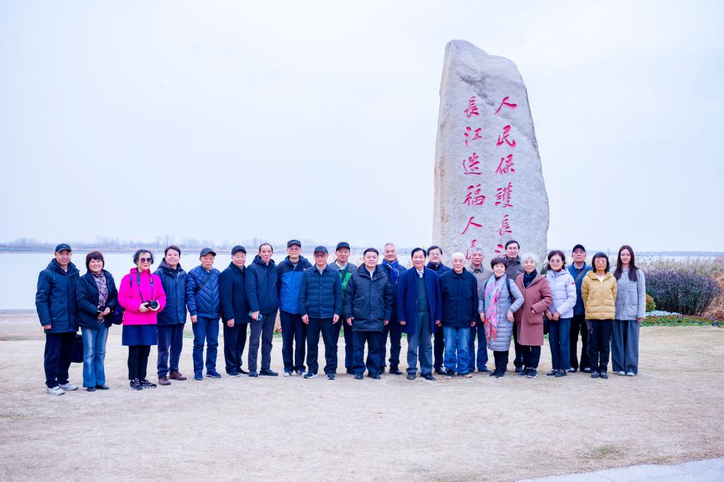 亚洲中文字幕在线乱妇